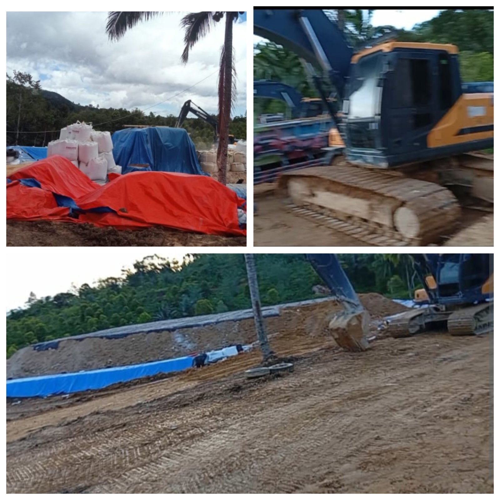 GridArt_20260204_094556145